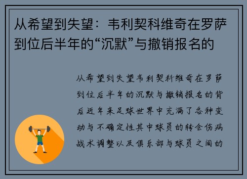 从希望到失望：韦利契科维奇在罗萨到位后半年的“沉默”与撤销报名的背后