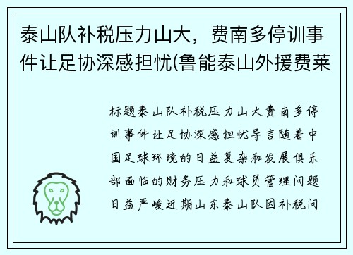 泰山队补税压力山大，费南多停训事件让足协深感担忧(鲁能泰山外援费莱尼)