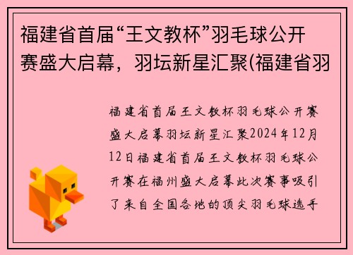 福建省首届“王文教杯”羽毛球公开赛盛大启幕，羽坛新星汇聚(福建省羽毛球比赛2020)